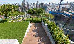 รูปถ่าย 3 of the Communal Garden Area at ไลฟ์ อโศก พระราม 9