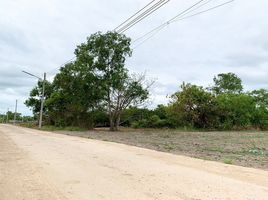  Land for sale in Nong Suea, Pathum Thani, Bueng Ba, Nong Suea