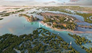 N/A Grundstück zu verkaufen in Saadiyat Beach, Abu Dhabi Al Jubail Island