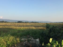  Land for sale in Phan, Chiang Rai, Doi Ngam, Phan