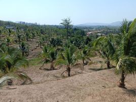  Grundstück zu verkaufen in Thalang, Phuket, Si Sunthon