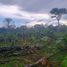  Grundstück zu verkaufen in Autazes, Amazonas, Autazes