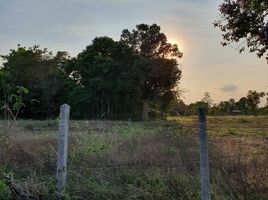  Land for sale in Na Bua, Phen, Na Bua