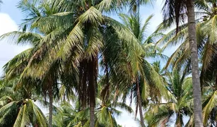 N/A Grundstück zu verkaufen in Khao Lan, Hua Hin 
