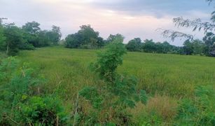 N/A Grundstück zu verkaufen in Sak Lek, Phichit 