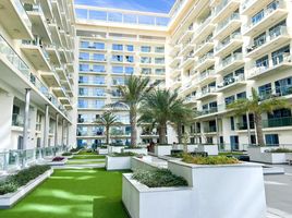 1 Bedroom Apartment for sale at Pacific, Pacific, Al Marjan Island