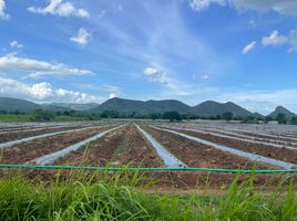  Grundstück zu verkaufen in Mueang Kanchanaburi, Kanchanaburi, Wang Dong, Mueang Kanchanaburi