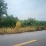  Land for sale in Lam Pla Thio, Lat Krabang, Lam Pla Thio