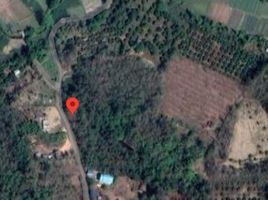  Land for sale in Puea, Chiang Klang, Puea