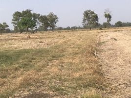  Land for sale in Lop Buri, Bang Phueng, Ban Mi, Lop Buri