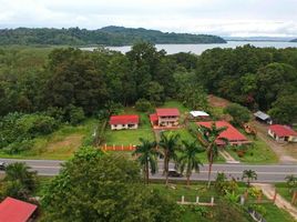 7 Bedroom House for sale in Golfito, Puntarenas, Golfito