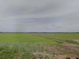  Grundstück zu verkaufen in Ban Phraek, Phra Nakhon Si Ayutthaya, Khlong Noi, Ban Phraek