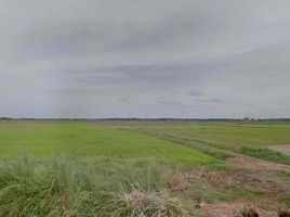  Grundstück zu verkaufen in Ban Phraek, Phra Nakhon Si Ayutthaya, Khlong Noi