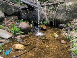  Land for sale in Madre De Dios, Laberinto, Tambopata, Madre De Dios