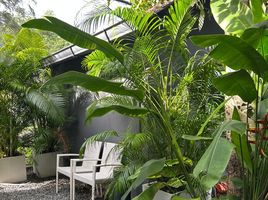 1 Bedroom Retail space for rent in Choeng Thale, Phuket, Choeng Thale