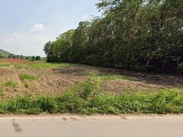  Land for sale in Pak Chong, Nakhon Ratchasima, Pak Chong, Pak Chong