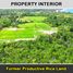  Land for sale in Puerto Princesa City, Mimaropa, Puerto Princesa City, Palawan, Mimaropa