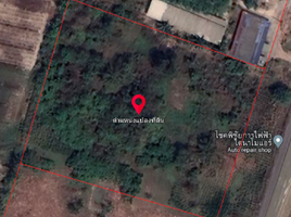  Land for sale in Surat Thani, Khao Niphan, Wiang Sa, Surat Thani