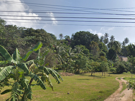  Land for sale in Surat Thani, Ban Tai, Ko Pha-Ngan, Surat Thani