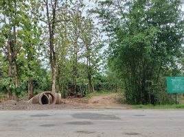  Land for sale in Nam Waen, Chiang Kham, Nam Waen