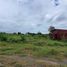  Grundstück zu verkaufen in Paoy Paet, Banteay Meanchey, Phsar Kandal