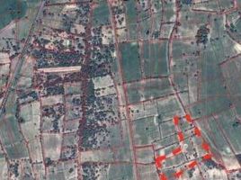  Land for sale in Mueang Tao, Phayakkhaphum Phisai, Mueang Tao