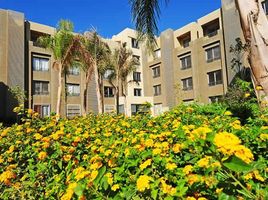 1 Bedroom Condo for sale at Palm Parks Palm Hills, South Dahshur Link, 6 October City, Giza