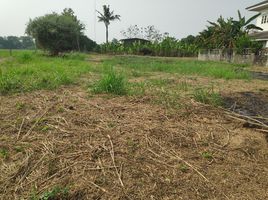  Grundstück zu verkaufen in Mueang Phitsanulok, Phitsanulok, Tha Thong