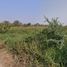  Land for sale in Bang Pakong, Chachoengsao, Tha Kham, Bang Pakong