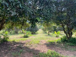  Land for sale in Chon Buri, Bang Sare, Sattahip, Chon Buri