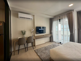 Studio Condo for rent at The Base Rise, Wichit, Phuket Town, Phuket