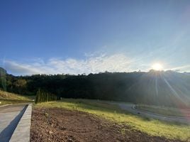  Grundstück zu verkaufen in Khao Kho, Phetchabun, Khaem Son