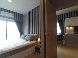 1 Schlafzimmer Wohnung zu vermieten im Trams Square Condominium , Chang Phueak