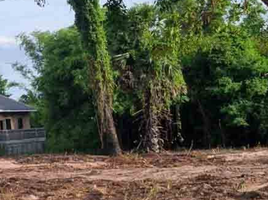  Land for sale in Nong Mai Daeng, Mueang Chon Buri, Nong Mai Daeng