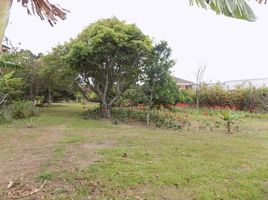  Grundstück zu verkaufen in Flores, Heredia, Flores