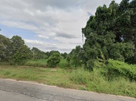  Land for sale in Kalasin, Bua Ban, Yang Talat, Kalasin