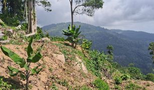 N/A Land for sale in Lipa Noi, Koh Samui 