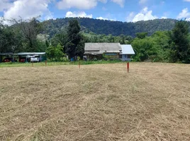  Land for sale in Pa Khlok, Phuket, Pa Khlok, Thalang