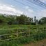  Land for sale in Thao Thep Kasattri Thao Sri Sunthon Monument, Si Sunthon, Si Sunthon