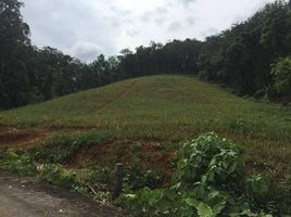  Land for sale in Pa Khlok, Thalang, Pa Khlok