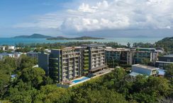 写真 2 of the Communal Pool at Calypso Garden Residences