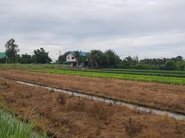  Land for sale in Thawi Watthana, Sai Noi, Thawi Watthana