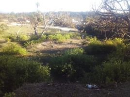  Land for sale in Santa Ana, Francisco Morazan, Santa Ana