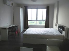 1 Schlafzimmer Wohnung zu vermieten im Dcondo Campus Resort Bangna, Bang Bo