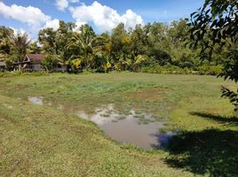  Grundstück zu verkaufen in Mueang Krabi, Krabi, Khlong Prasong, Mueang Krabi, Krabi