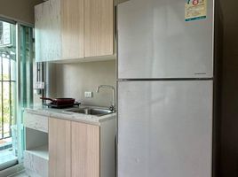 Студия Кондо в аренду в D Condo Kathu-Patong, Катху, Катху