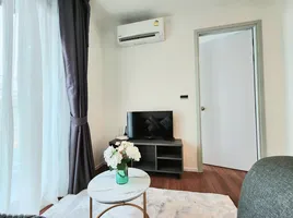 1 спален Кондо в аренду в The Space Condominium, Wichit