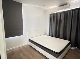 4 Schlafzimmer Haus zu vermieten im Crown Estate Dulwich Road, Ko Kaeo