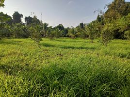  Land for sale in Khuan Lang, Hat Yai, Khuan Lang