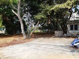  Land for sale in Big Buddha Temple, Nong Prue, Nong Prue
